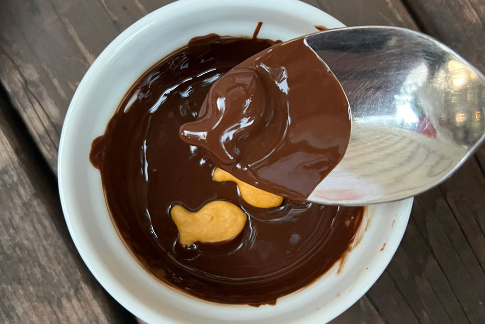 diy chocolate fish crackers