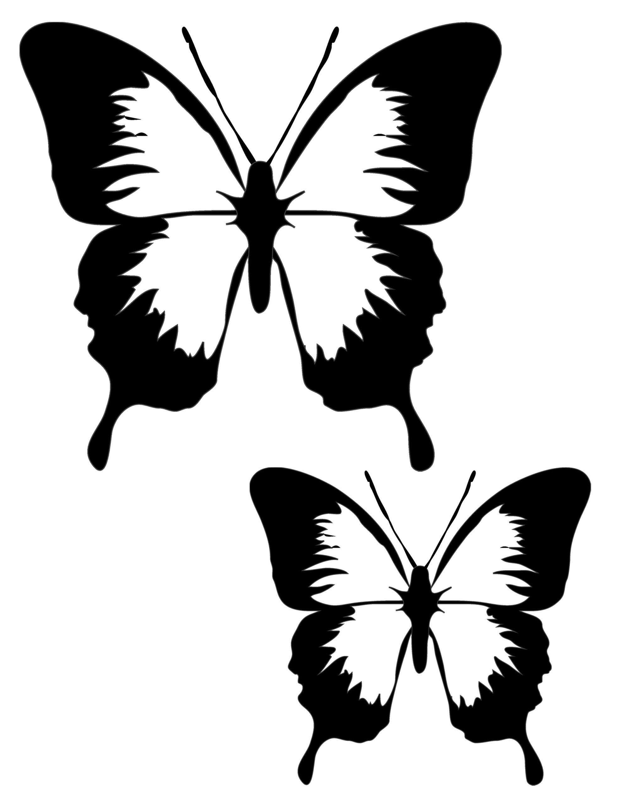 Butterfly sun catcher template