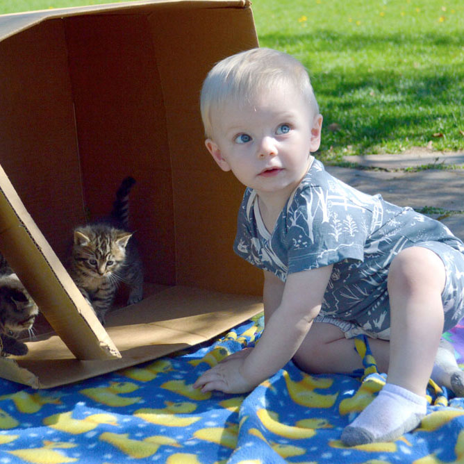 Little Explorers: Activities for Babies on the Go