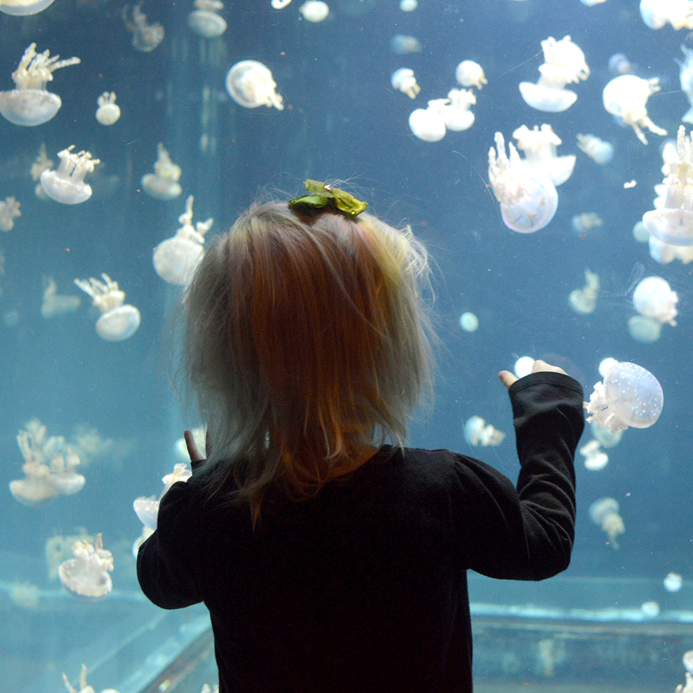 Vancouver Aquarium Family Trip Destination