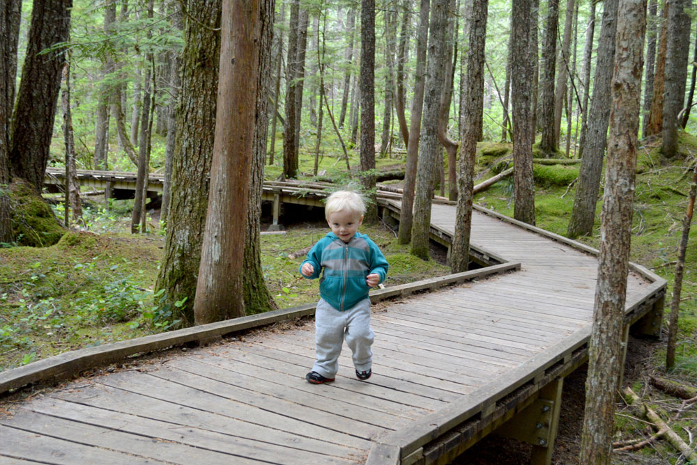 Mount Saint Helens lava tubes boardwalks