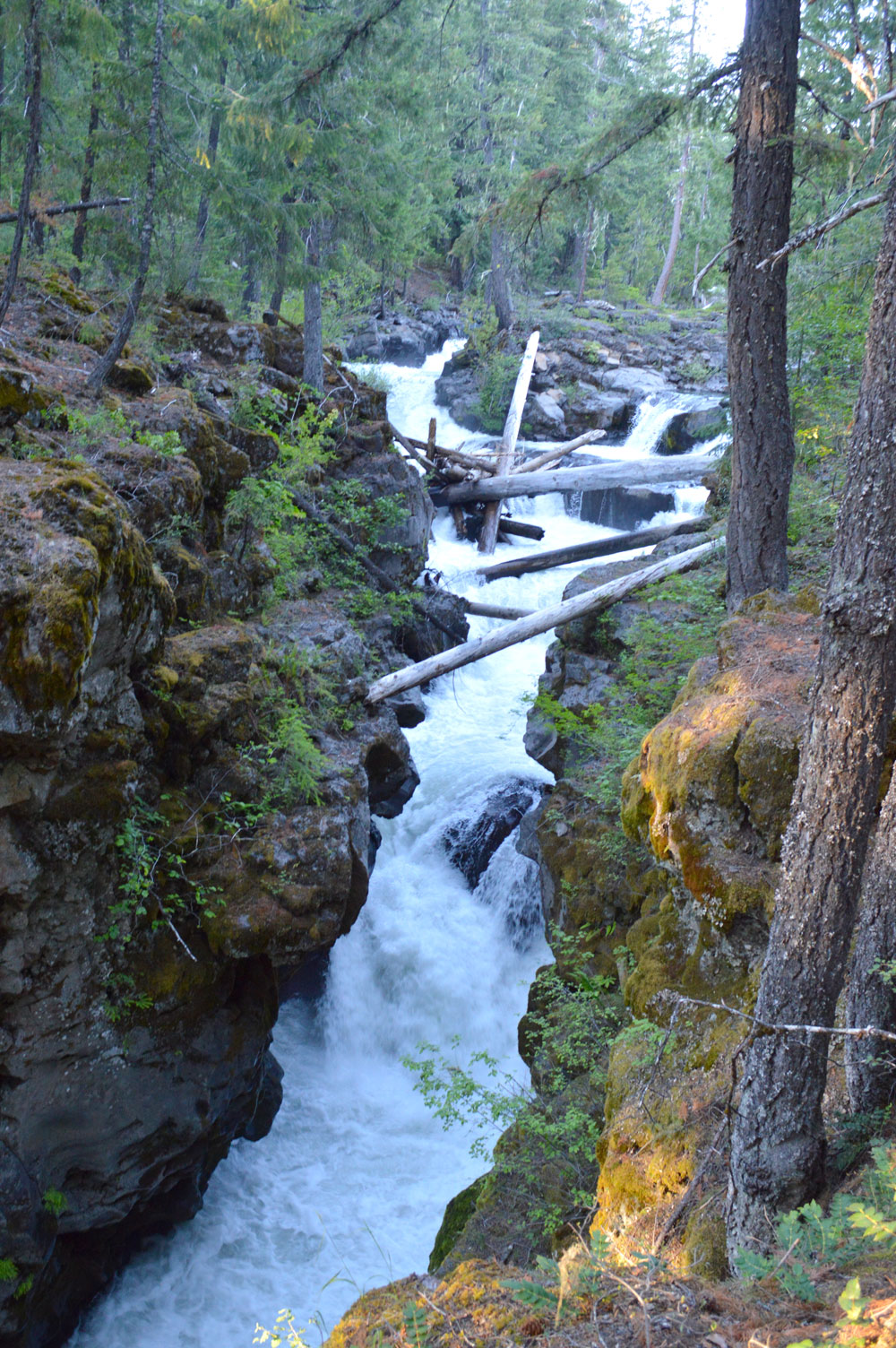 Oregon Rogue Gorge and lava tube rapids