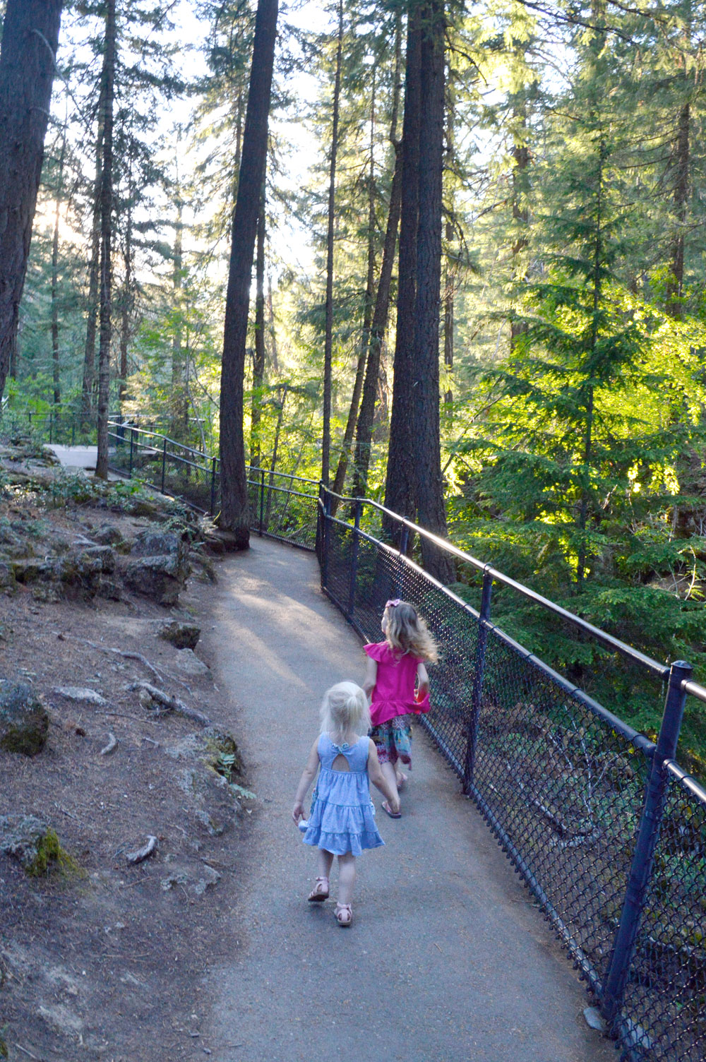 Rogue Gorge family hike in Oregon