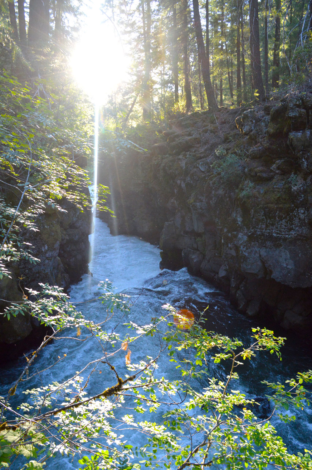 Rogue Gorge and lava tube rapids - Oregon family trip