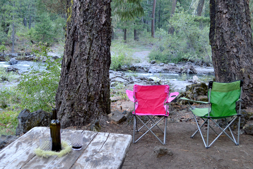 RV Camping in the Oregon woods family travel
