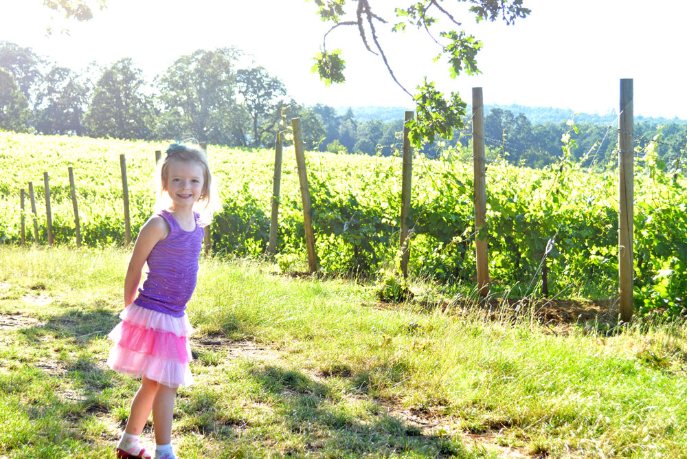 Family walk through Emerson Vineyards, Oregon