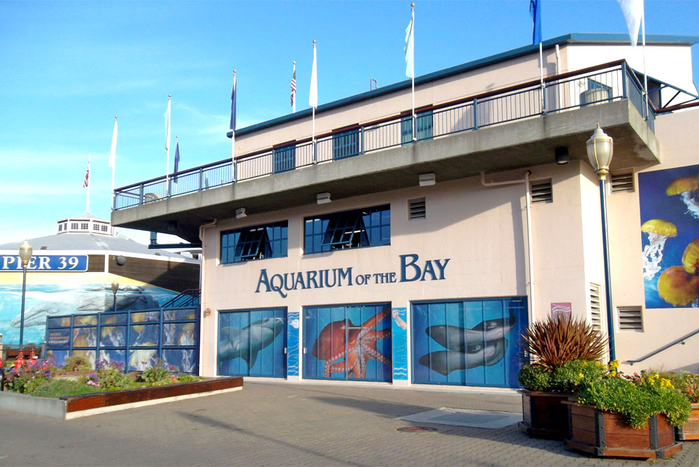 10 San Francisco CA family activities - Aquarium of the Bay