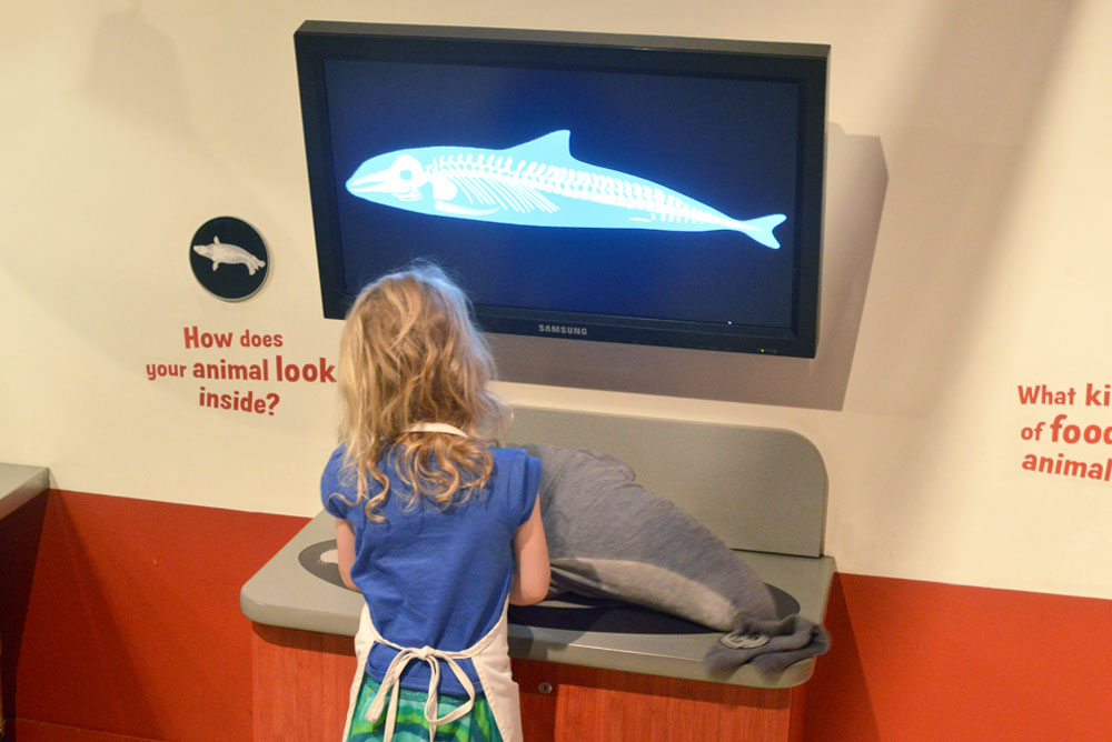 Vancouver Aquarium kids animal rescue center