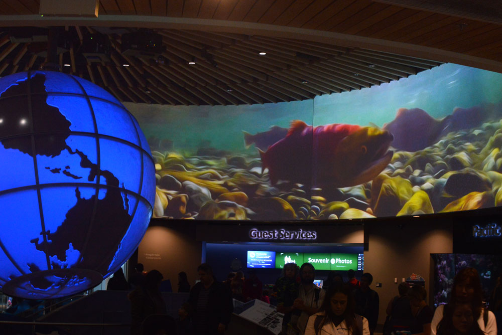 Family visit to the Vancouver Aquarium in Canada