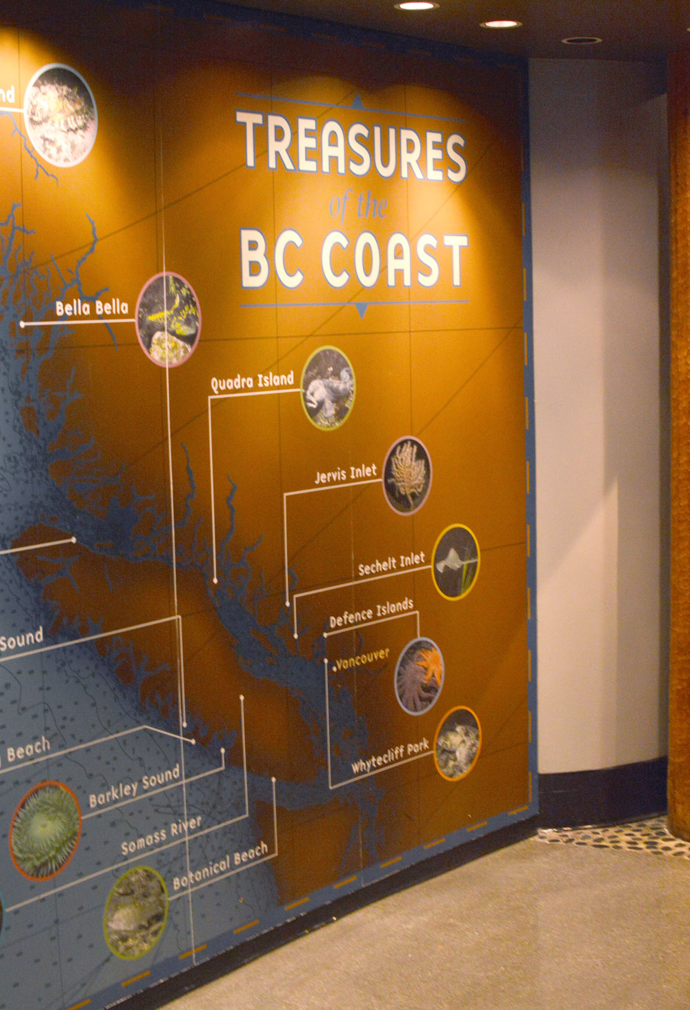 Vancouver Aquarium Treasures of the BC Coast