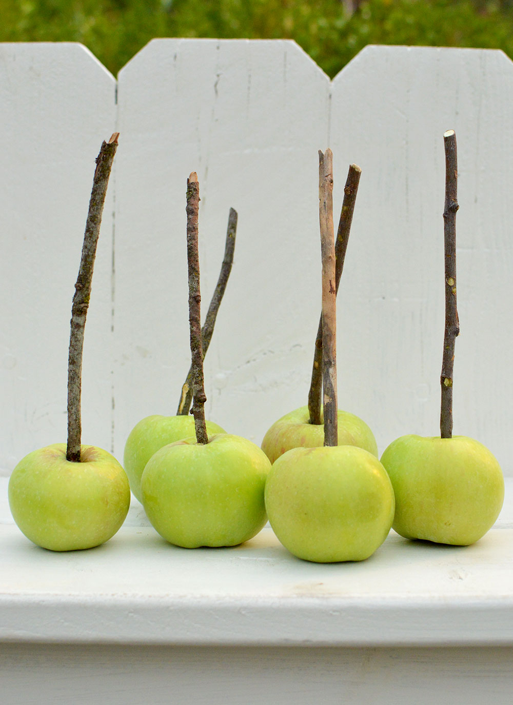 apples with sticks to dip in caramel
