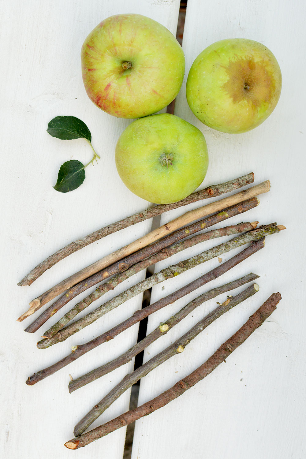 fall fruit and wooden sticks