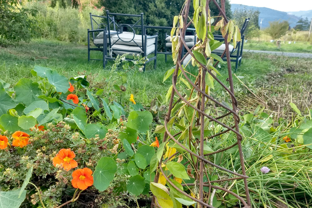 Moon Valley Organics farm garden tour