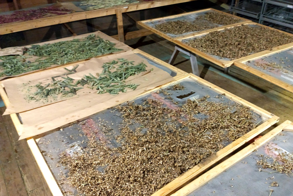 Moon Valley Organics farm dried herbs