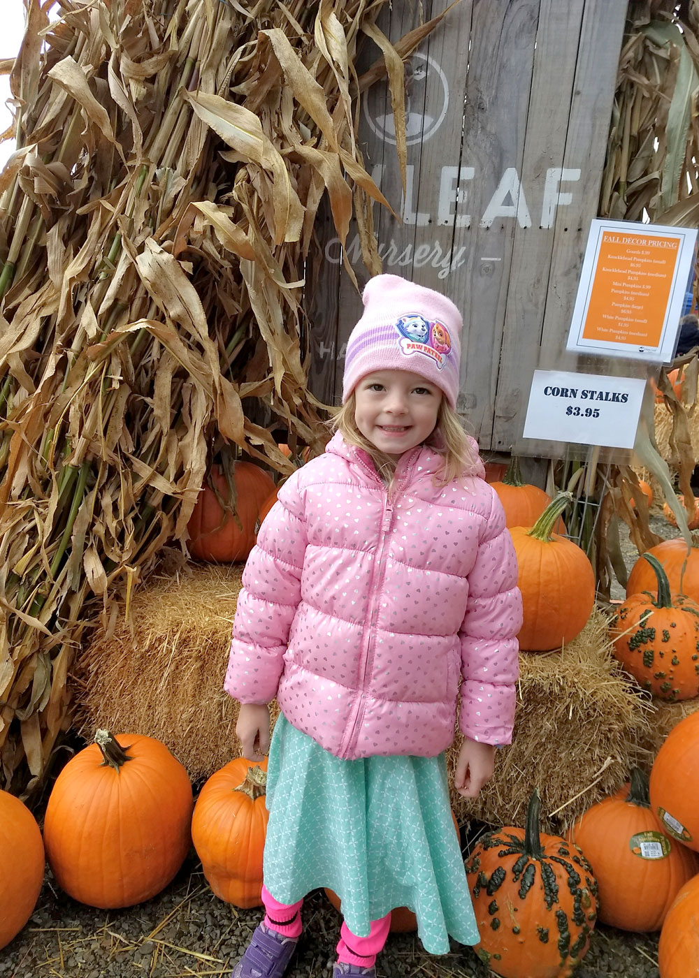 Family Activities at New Leaf Nursery Fall Festival Coeur d'Alene
