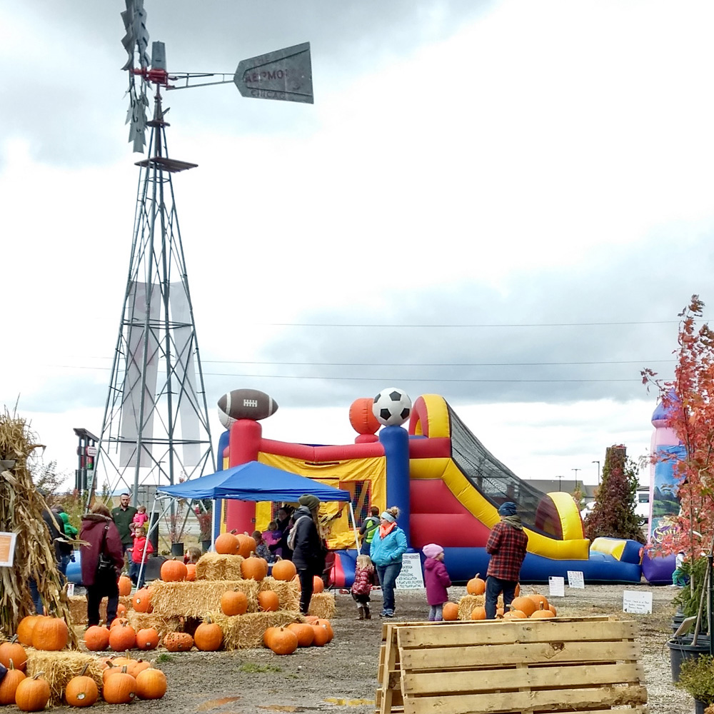 Family Fun at New Leaf Nursery Fall Festival