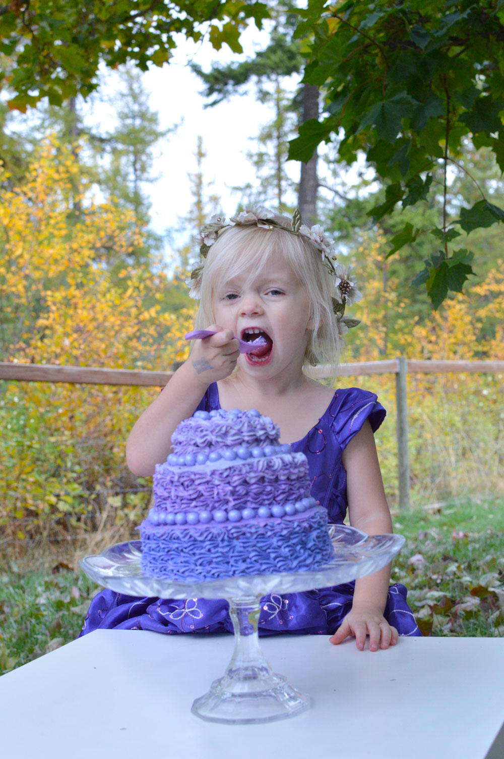 Princess birthday party dress cake smash photos