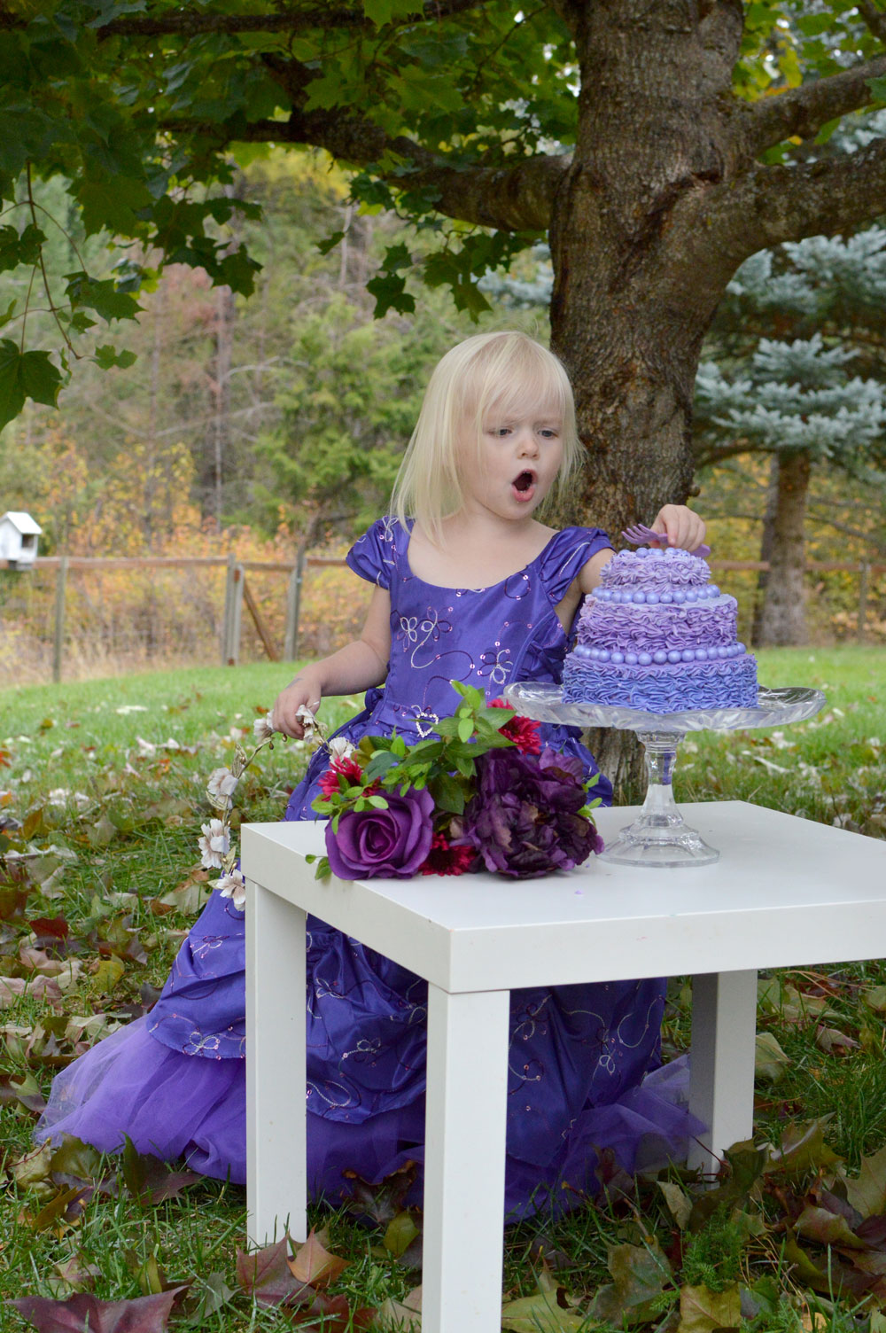 Toddler girl birthday cake smash