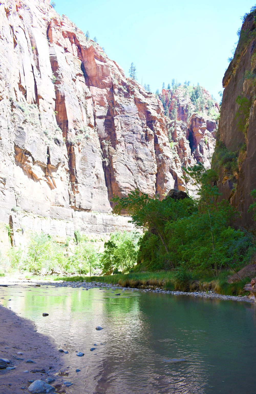 Red canyon walls and bright green trees at Zion Canyon