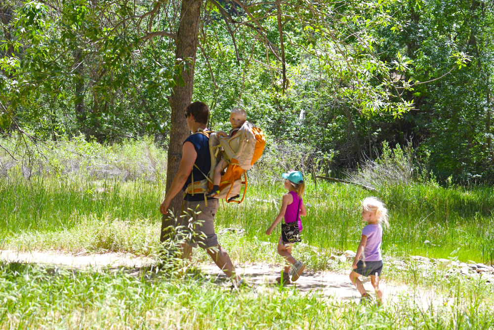 Things to do on a Zion Canyon family adventure hike