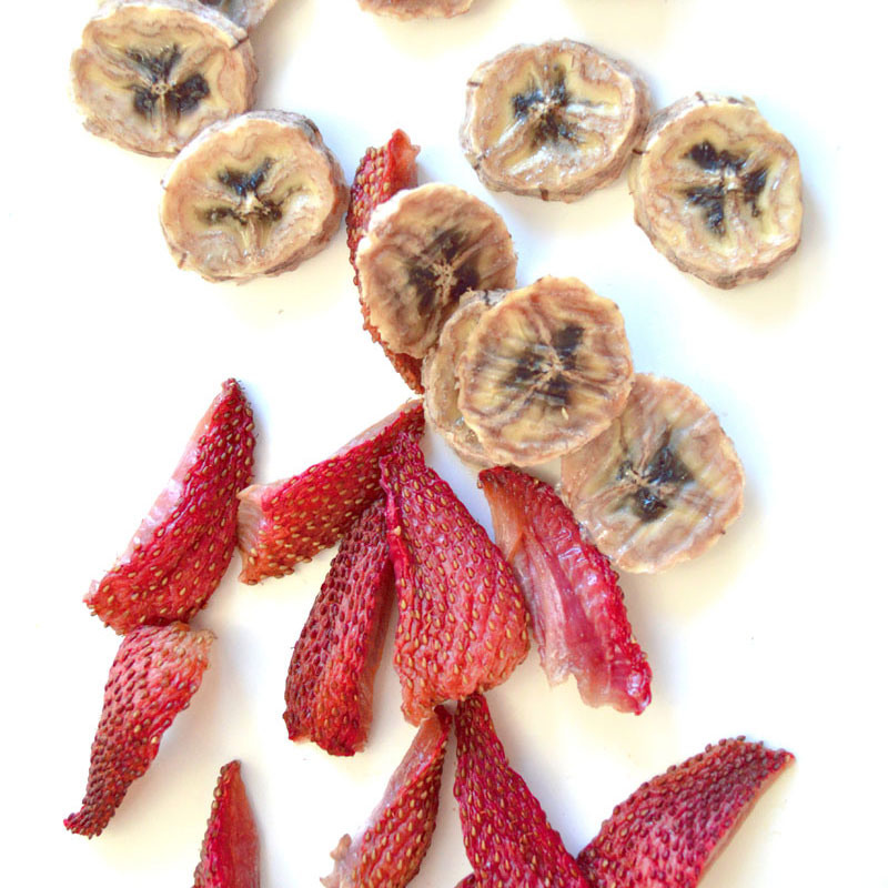 Easy DIY Dried Fruit Slices