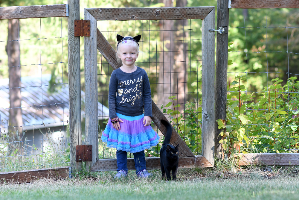 Kids pediped shoes are stylish for dress up