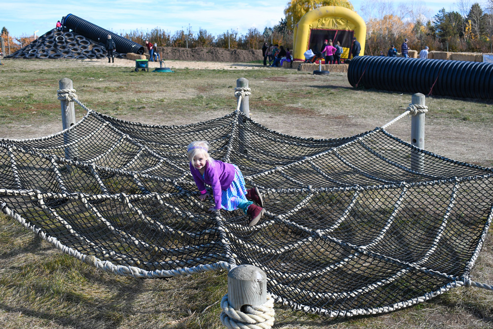 Green Bluff Becks Harvest House Climbing Spider Web - Things To Do at Your Local Pumpkin Farm