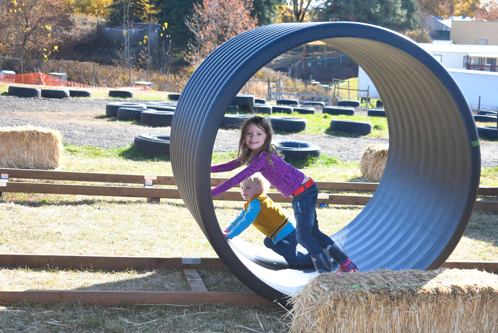 Kids Activities - Things To Do at Your Local Pumpkin Farm