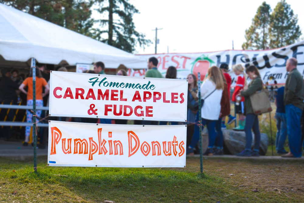 Green Bluff Becks Harvest House Pumpkin Doughnuts - Things To Do at Your Local Pumpkin Farm