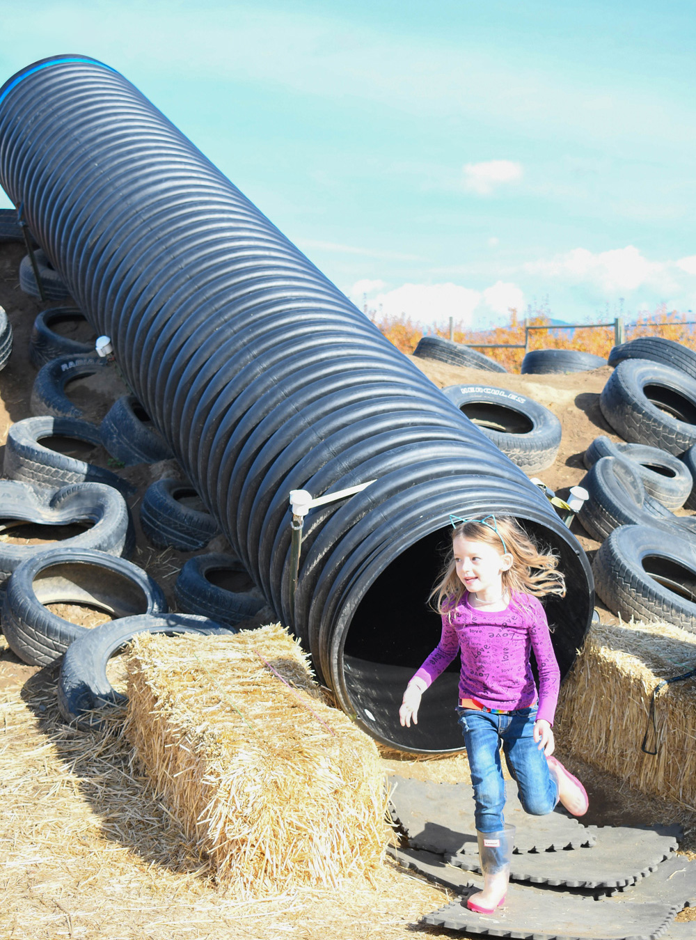 Green Bluff Becks Harvest House Tire Slide - Things To Do at Your Local Pumpkin Farm
