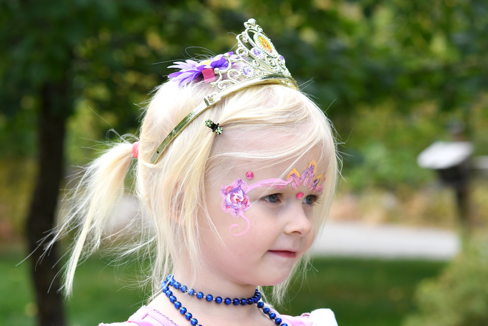 Disney princess Halloween costume from Fred Meyer