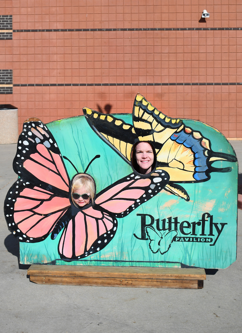 Fun family exhibits at the Denver Butterfly Pavilion
