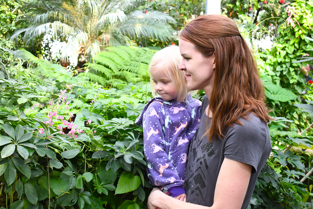 Denver Butterfly Pavilion kids nature museum