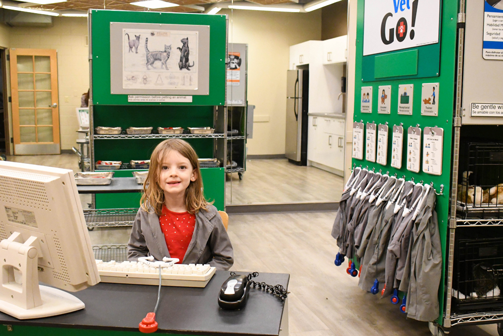 Veterinarian clinic play area for kids