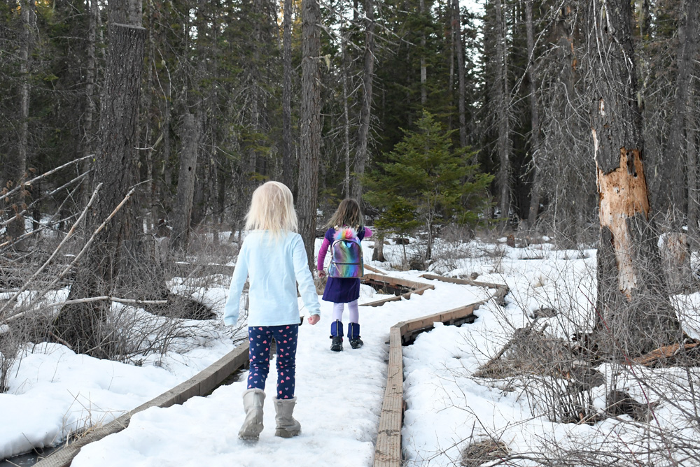 English Point Recreation Area family hike