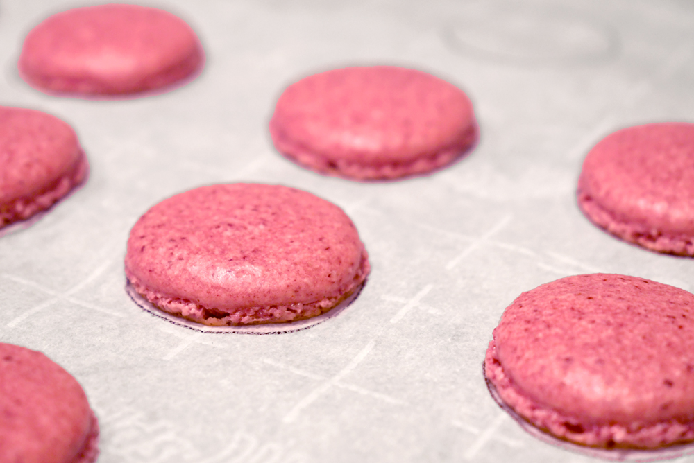 Delicious homemade freeze dried raspberry macarons