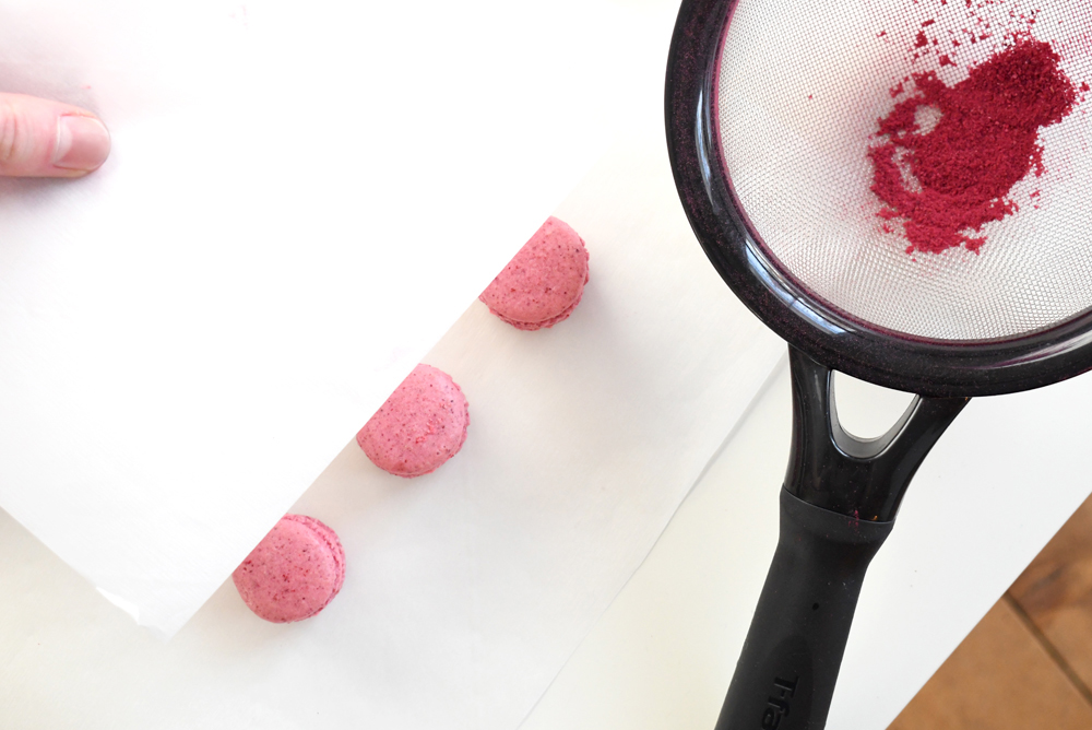 Freeze dried raspberry macarons dusted with raspberry powder