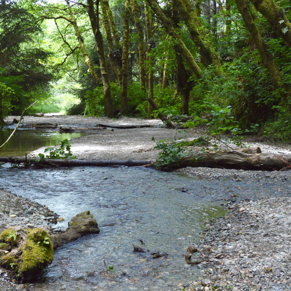 1 Pacific Northwest Kids Activities
