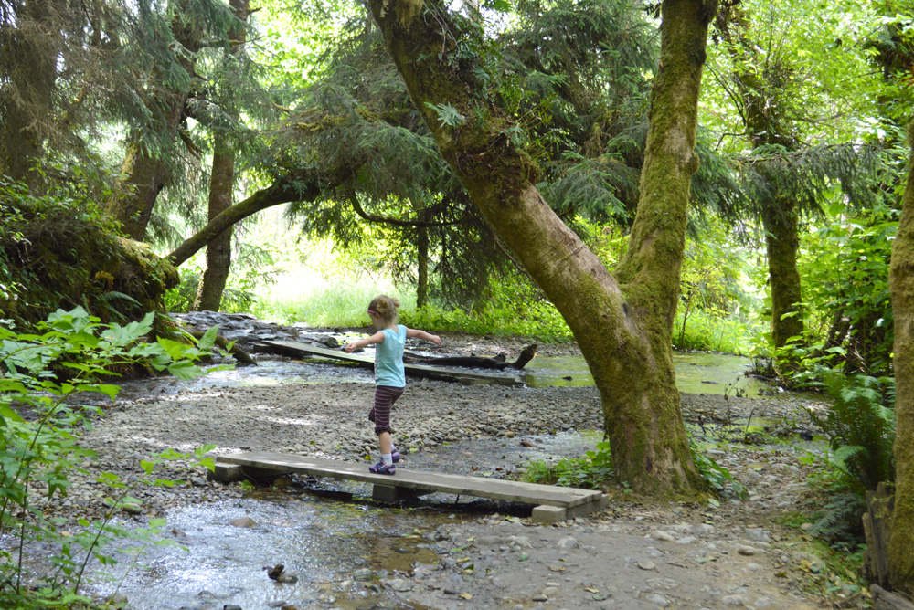 Fern Canyon California - Pacific Northwest Family Travel Destinations