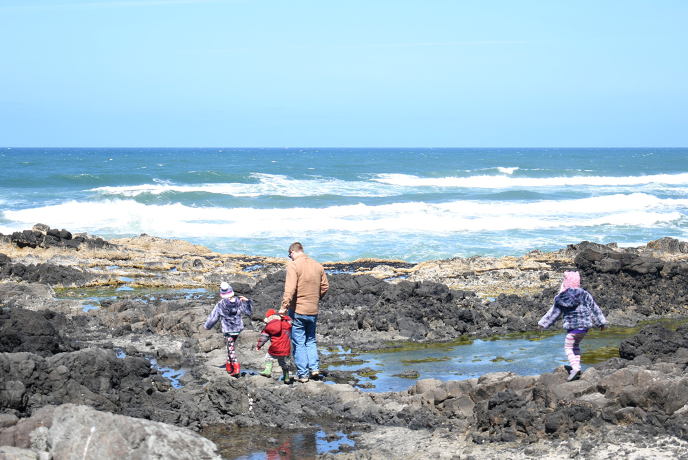 Explore tide pools Florence Oregon kids activities