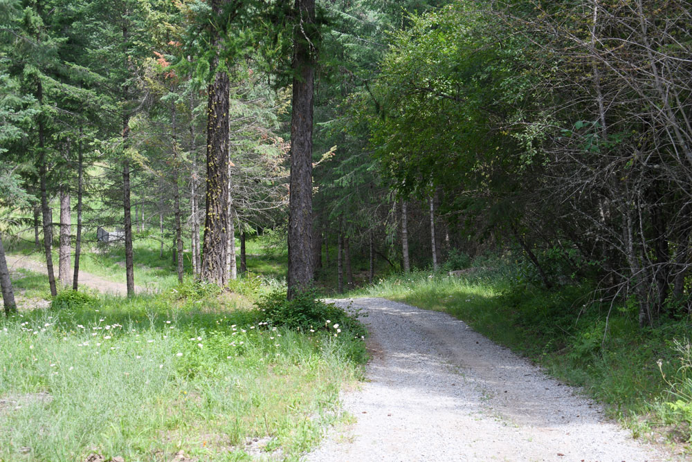 Family camping and hiking essentials forest trail