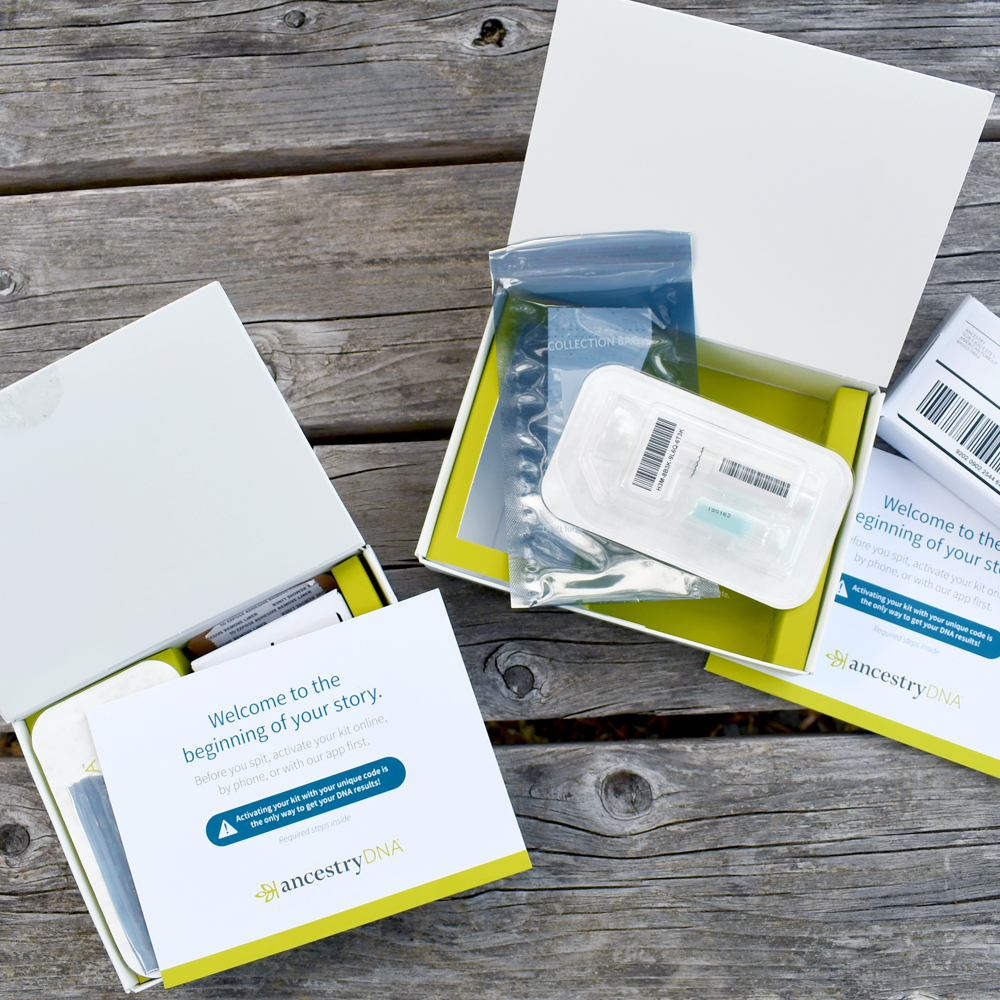 Trace Your DNA to Learn Where Your Story Started