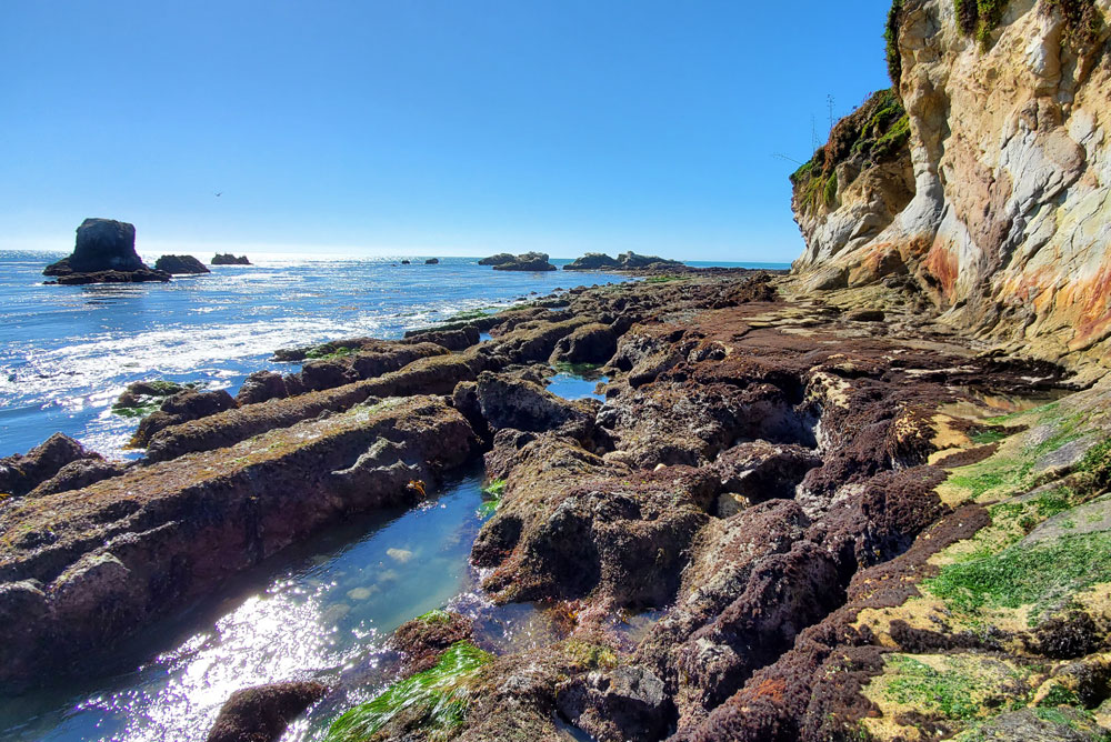 Margo Dodd Beach Park family hike