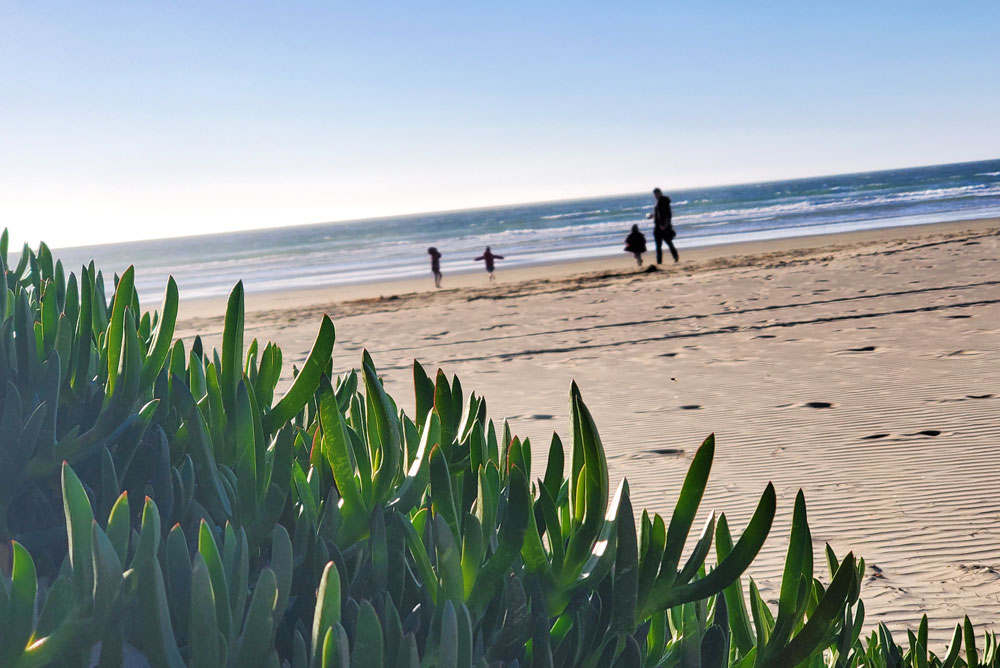 Walk Down to the Local Beach at Pismo