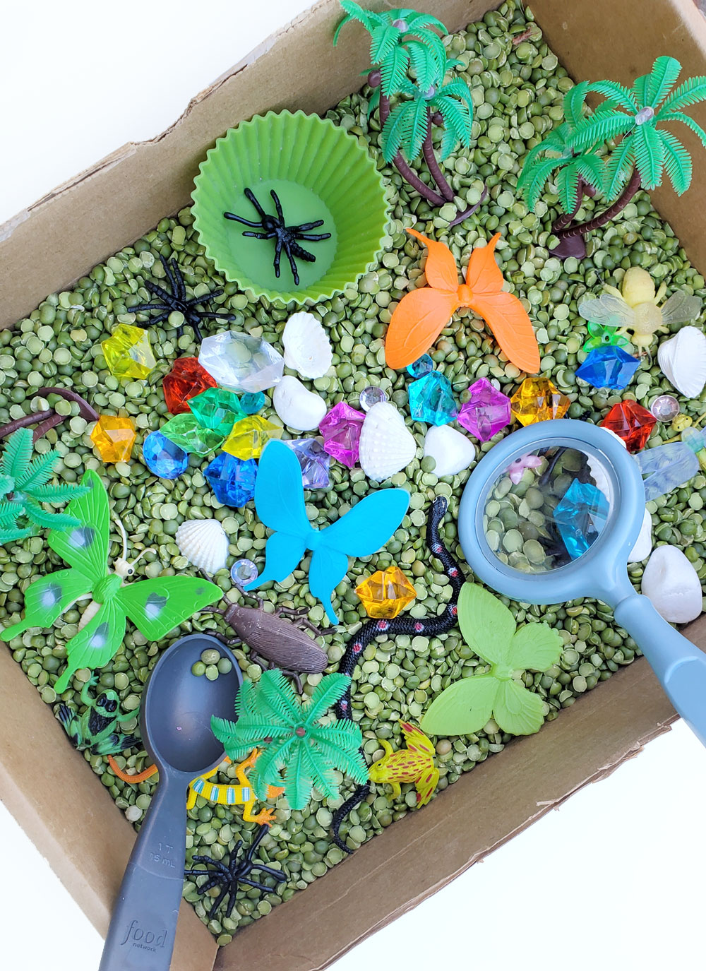 Butterfly Rainforest sensory bin kids activity