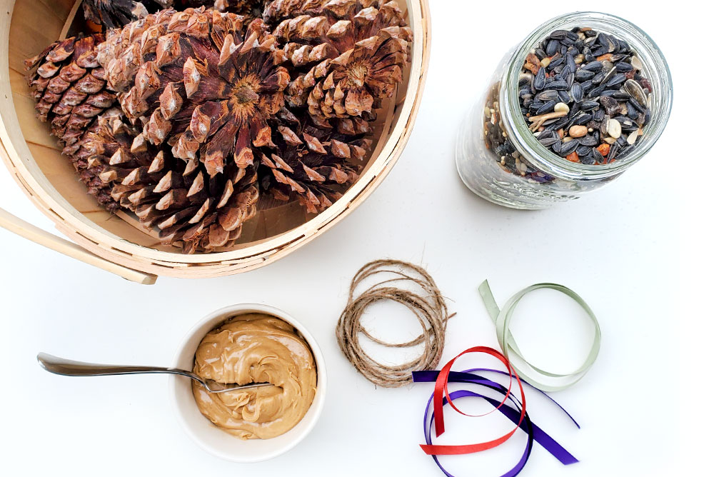 DIY pinecones bird feeders easy kids project