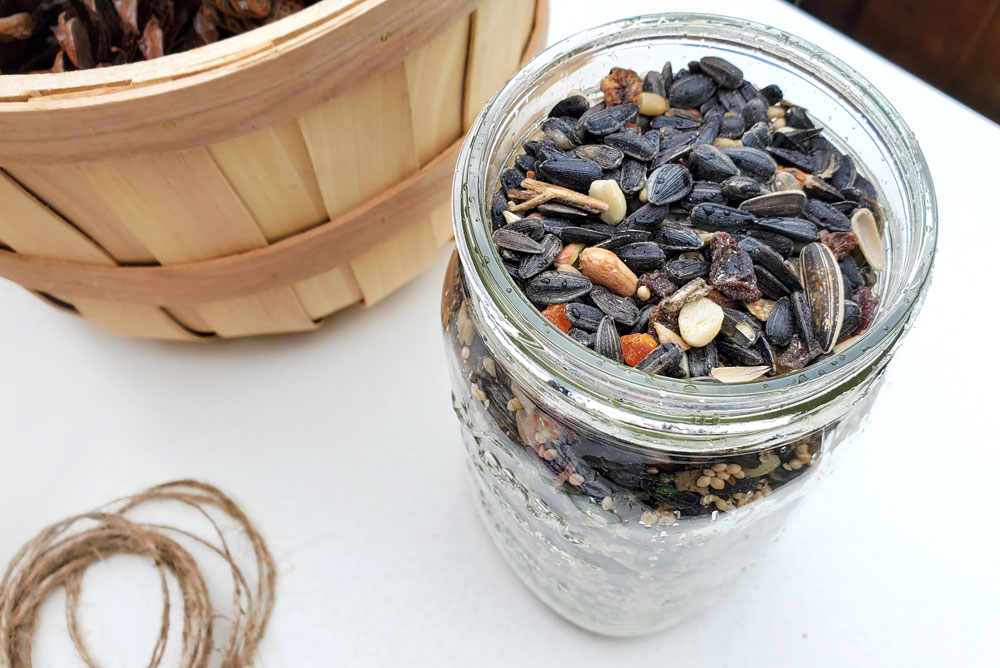 How to make DIY pinecones bird feeders