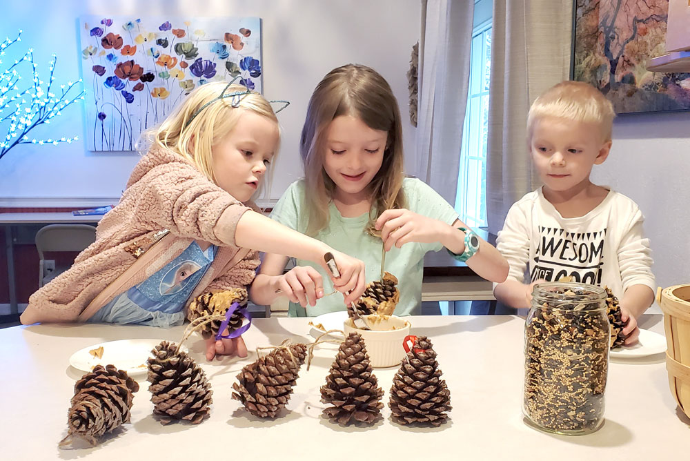 Creative pinecone bird feeders for your backyard
