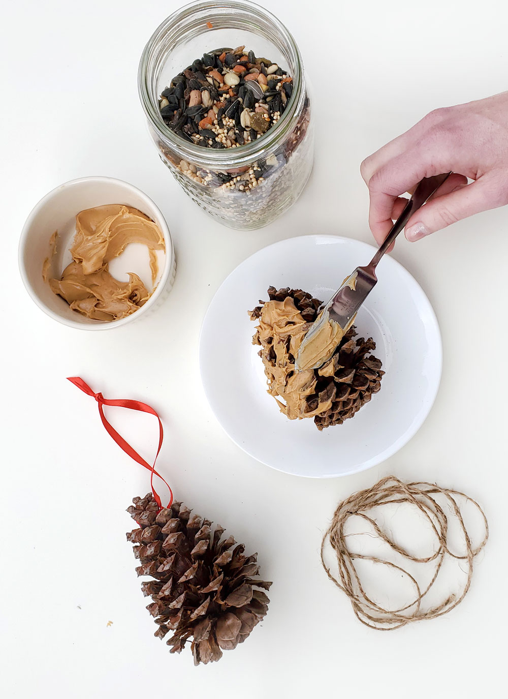 DIY pinecones bird feeders easy kids craft