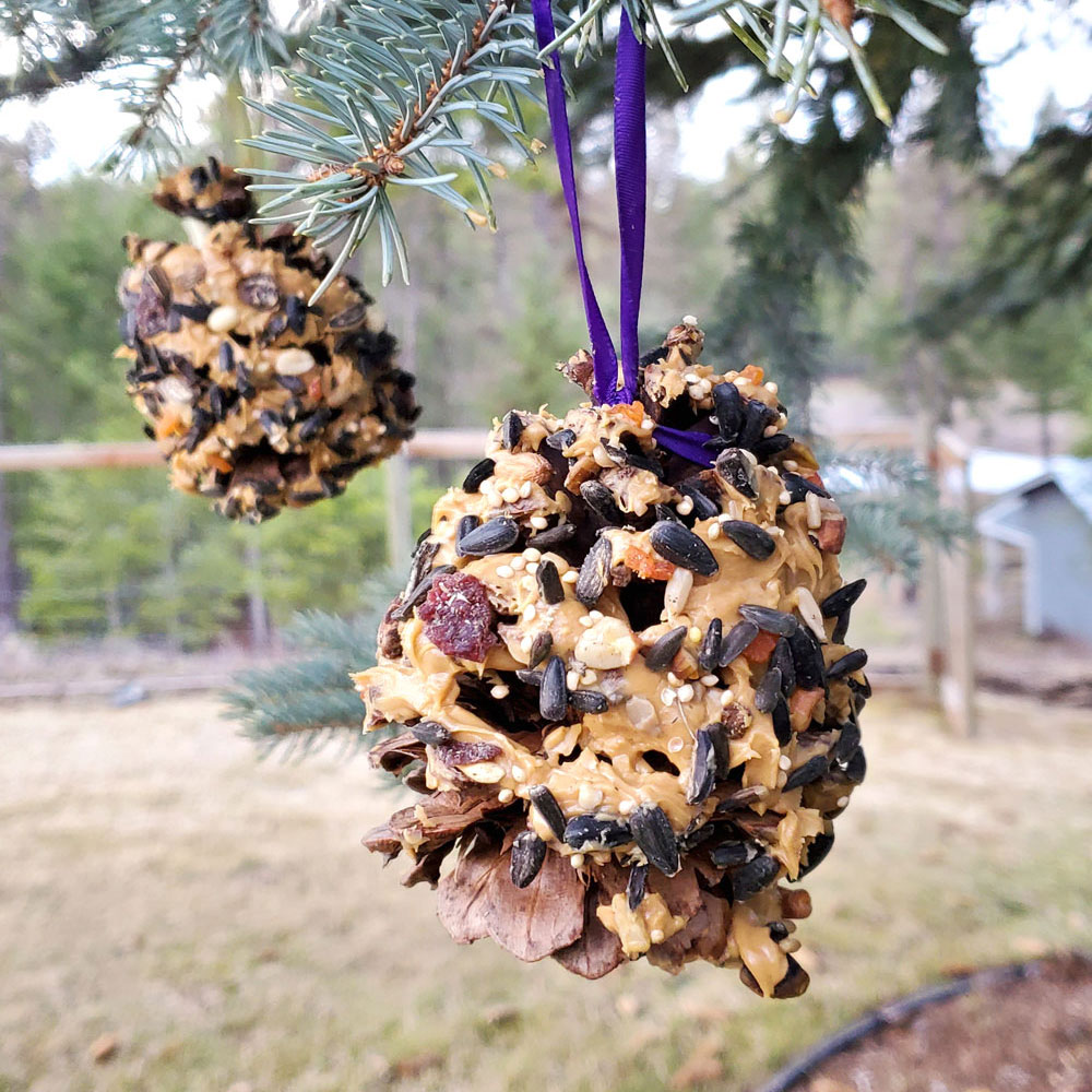 Easy DIY Pinecone Bird Feeders
